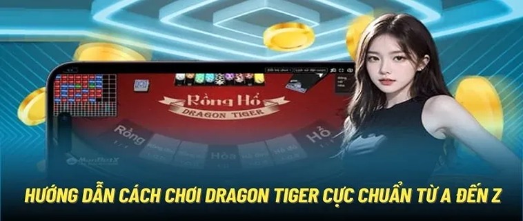 Cách Tham Gia Dragon Tiger Nhà Cái Letou: Mẹo Chơi Thắng Lớn